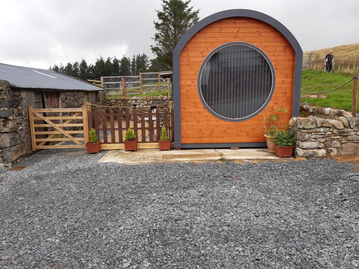 Campsite Penystryd Trawsfynydd