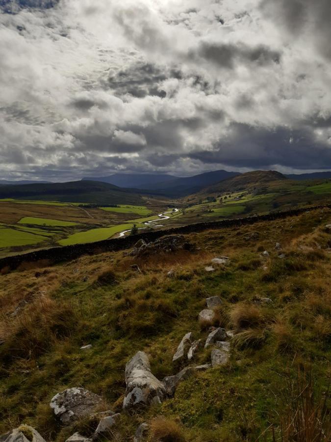 Penystryd