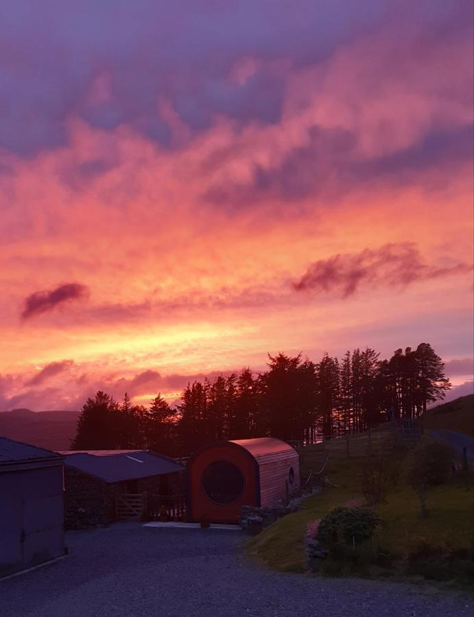 Penystryd * Trawsfynydd